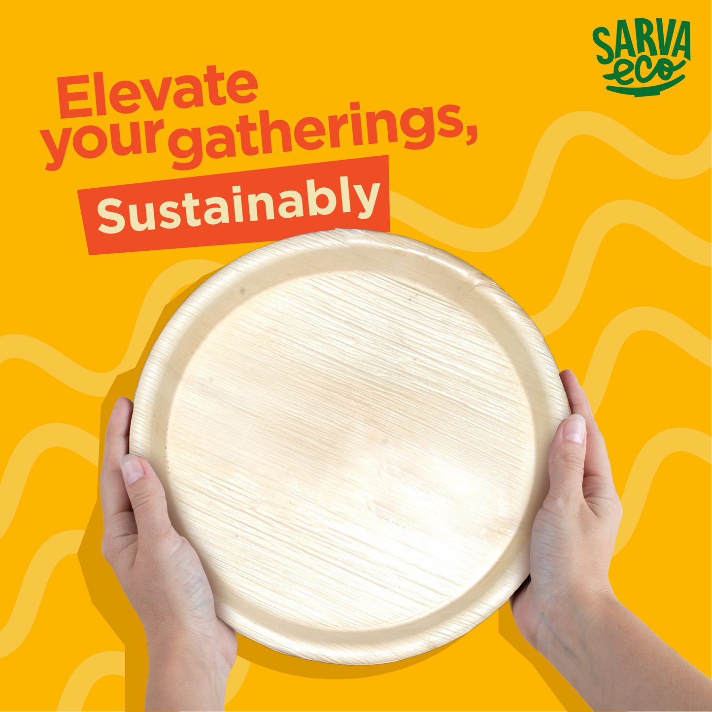 Premium Areca Palm Leaf Round Plates - 6 Inch