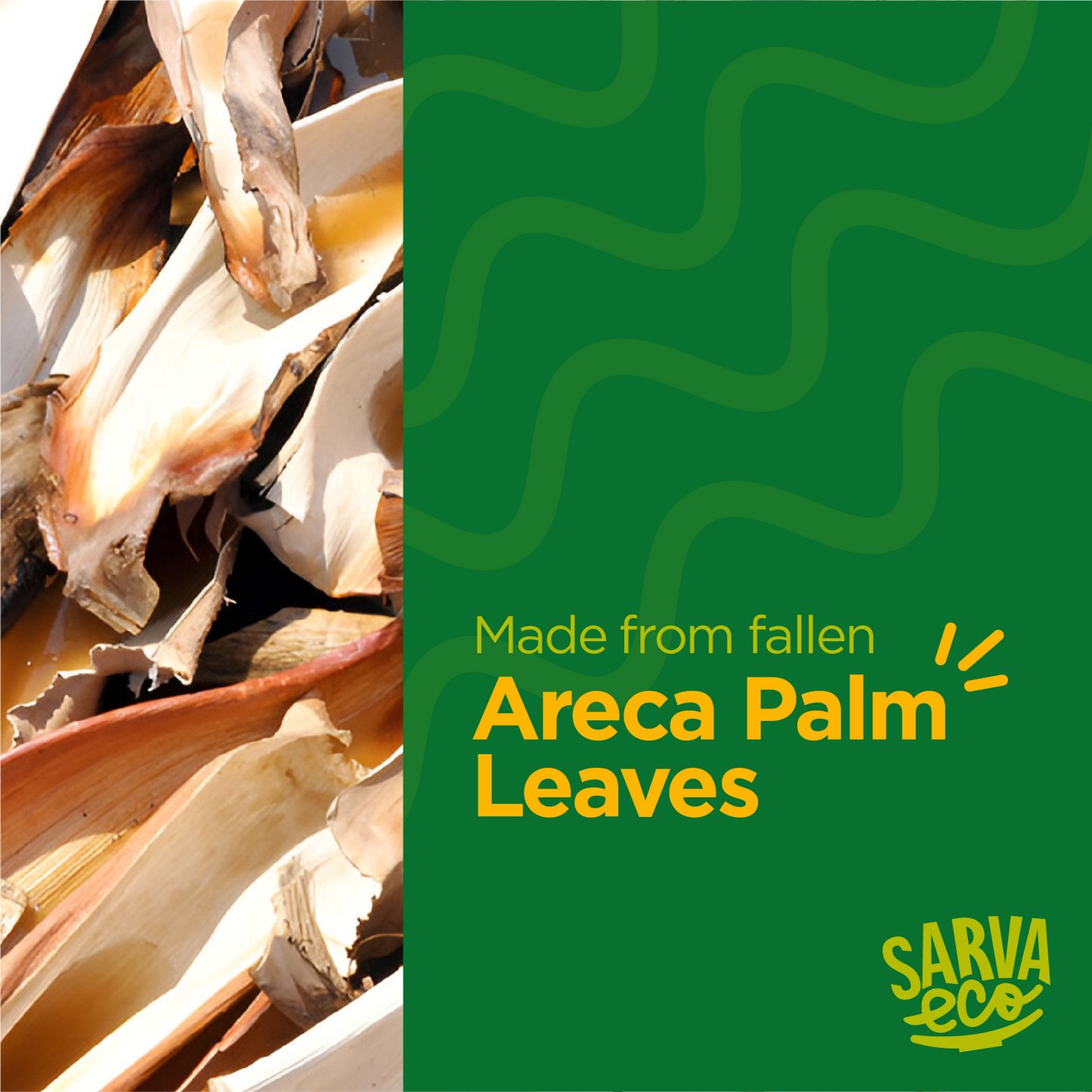 Premium Areca Palm Leaf Round Plates - 6 Inch